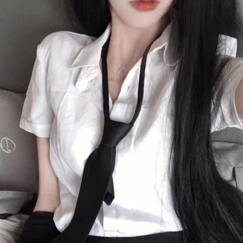 精灵宝可梦:大家的故事